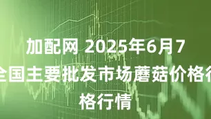 加配网 2025年6月7日全国主要批发市场蘑菇价格行情